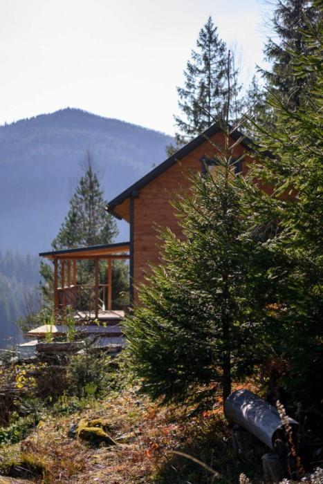 Шале над скелею