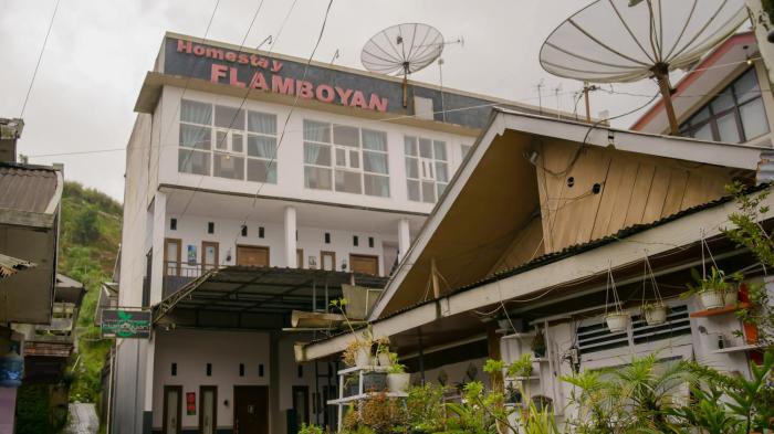 Flamboyan 2 Homestay