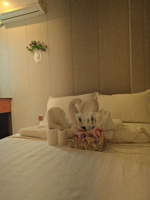 Baoly Clark Residences NEW