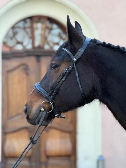 Apartament Kirkor przy Dworku Bielin