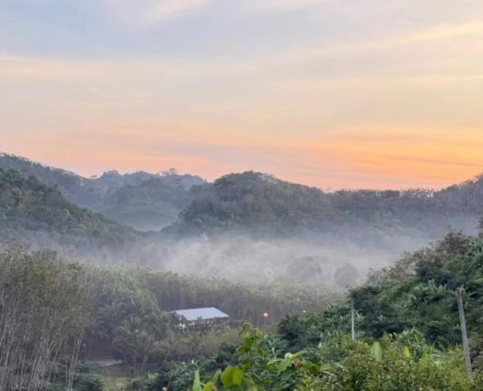 Klang Suan 68 Palm Garden Near Phuket