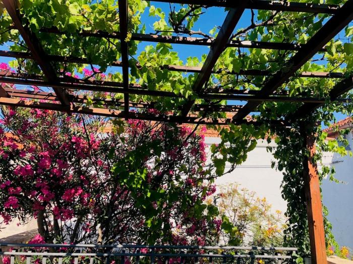 Jezera Zentrum, ganzes Haus für traumhaften Urlaub