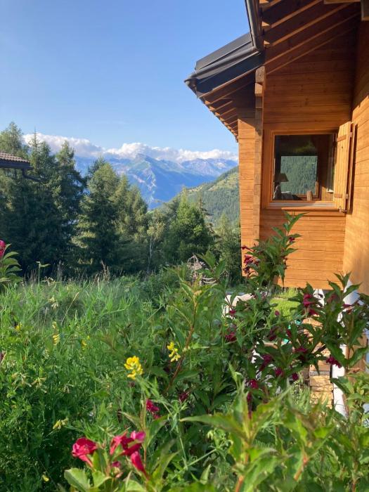 Chalet with stunning views, ideally located, deer nearby, ideal for families, not suitable for groups