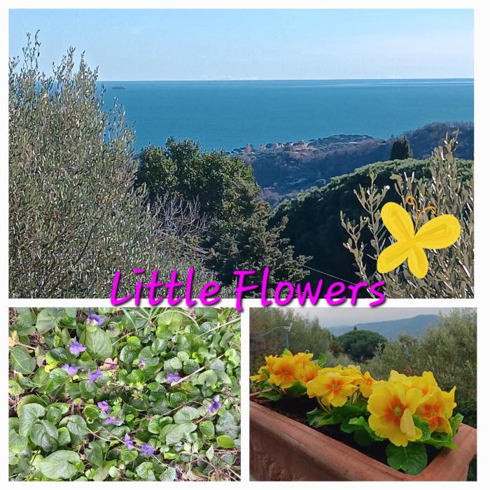 TraMonti e Mare, vista mare giardino, la casa che in ogni stagione si trasforma!