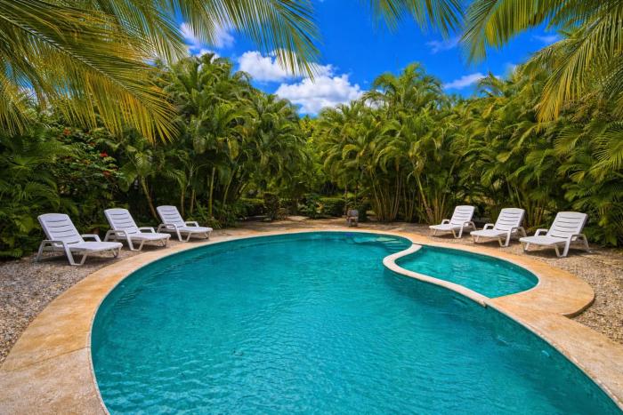 Jungle Oasis Tamarindo