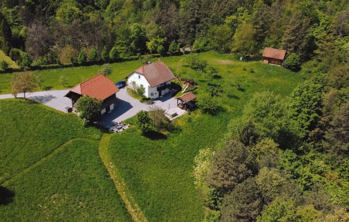 Beautiful Home In Mokronog With Sauna