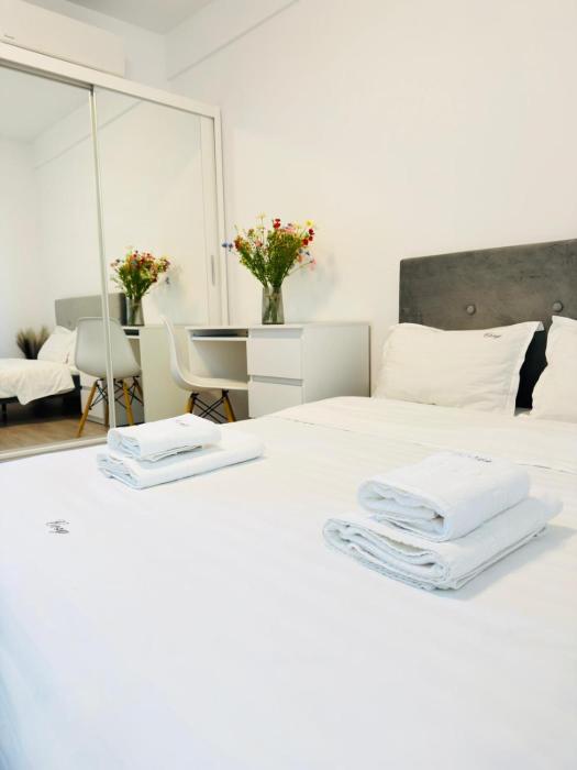Cozy Deluxe Apartments in Centre of Historical Iasi