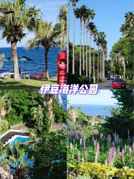 ZYZ-Futo Itō Shizuoka House