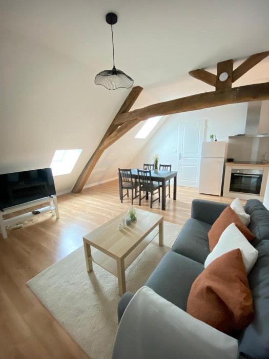 T3 Atypique et Moderne avec parking Orléans centre