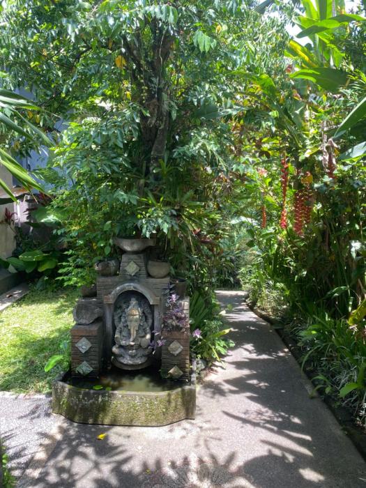 moning junggel view