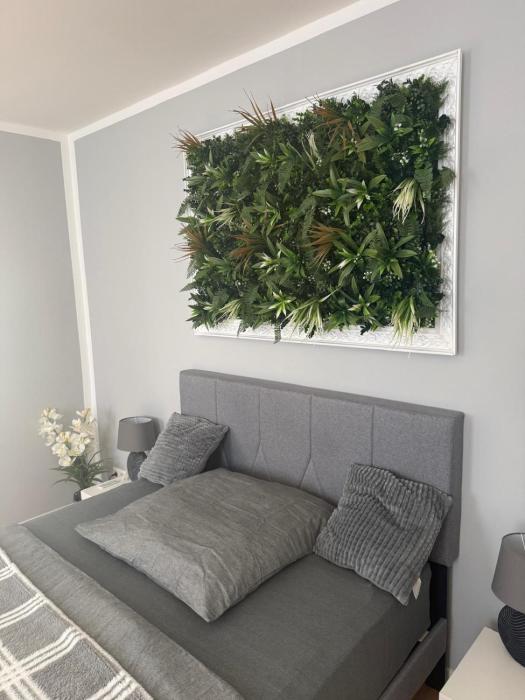 Gemütliches Appartement 2 - mit Küche und Bad zur Eigennutzung -Schuster Homes-