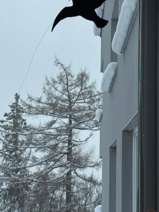 TATRYSTAY 3-bedroom apartment Grandioz