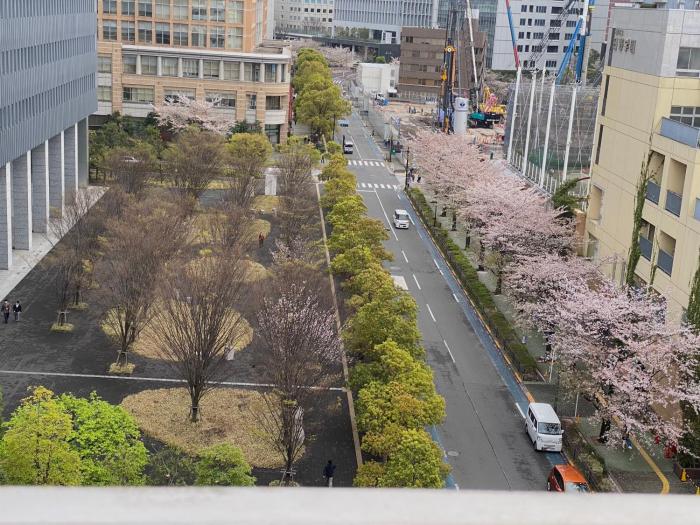 品川区山手線大崎駅徒歩5分 快適で贅沢理想的なゲストルーム