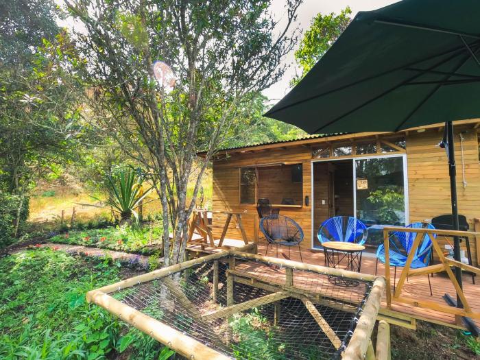 Glampbird-Tangara Real