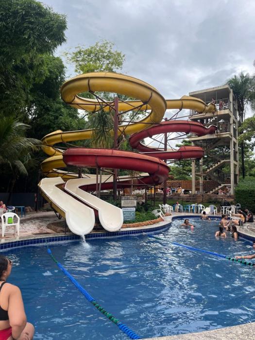 Flat Golden Dolphin Express