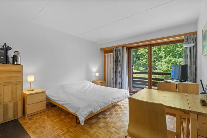 Emeraudes 403 pres de la telecabine a Anzere