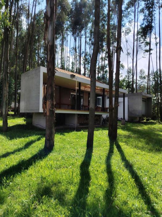 ENTRE BOSQUES - Eucalyptus Forest Villa
