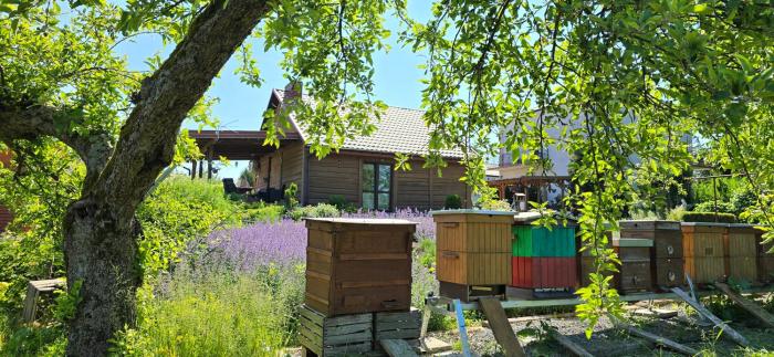 Agroturystyka u Joli