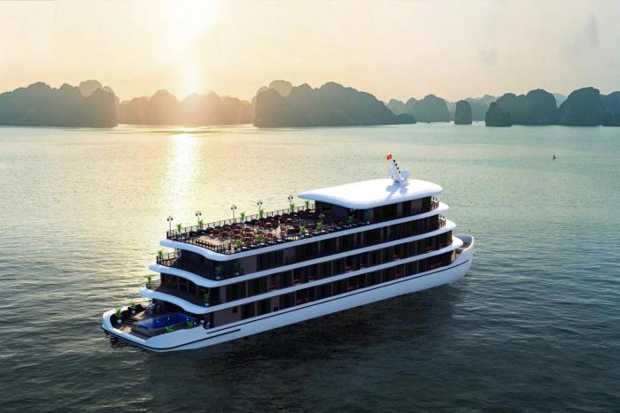 Cycad Grand Cruise