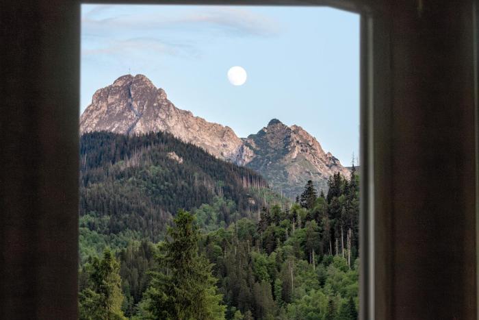 OKNO NA GÓRY - apartament w widokiem na góry i kominkiem - ZAKOSPANIE