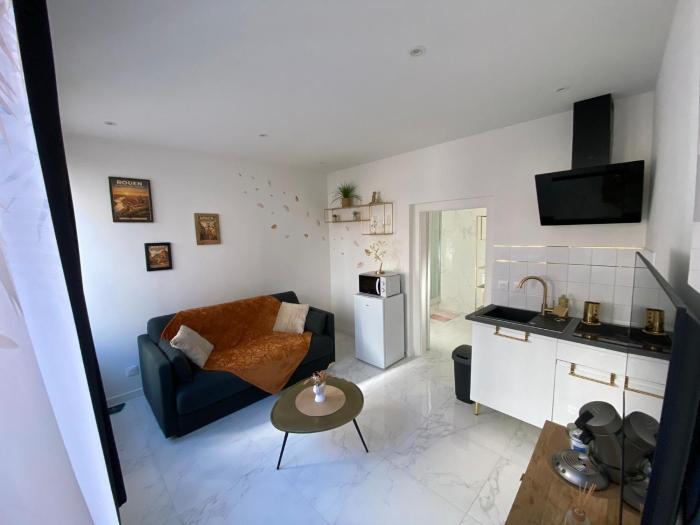 Cocon au cœur de Rouen - 430