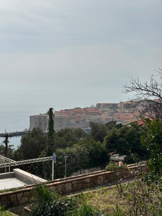NARANČA apartment OLD CITY view