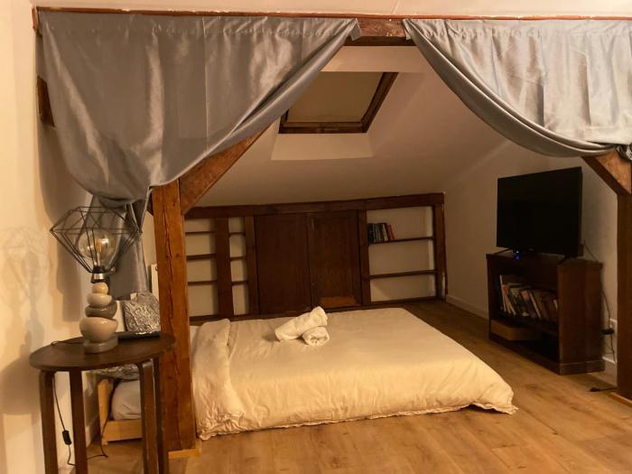 Bohemian elegant pent house