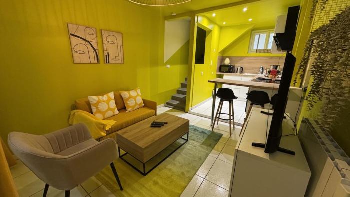 Le duplex tricolore 2 suites hyper centre Rouen rive droite