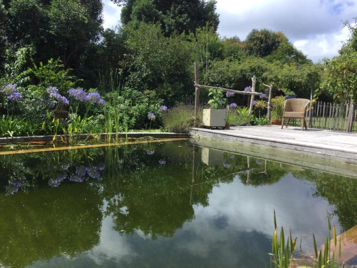 CHAMBRE DANS CABANE EN BOIS avec PISCINE ECOLOGIQUE