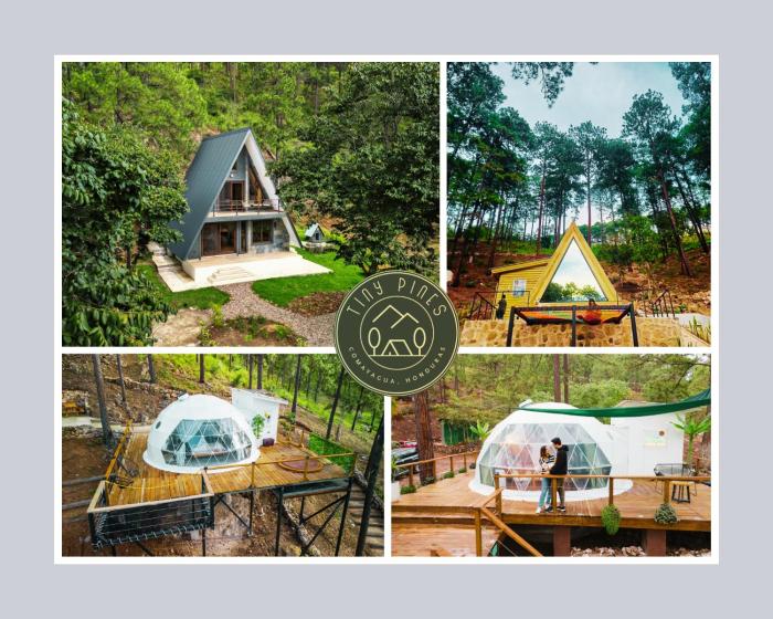 Tiny Pines A-Frame Cabin, Domes and Luxury Glamping Site