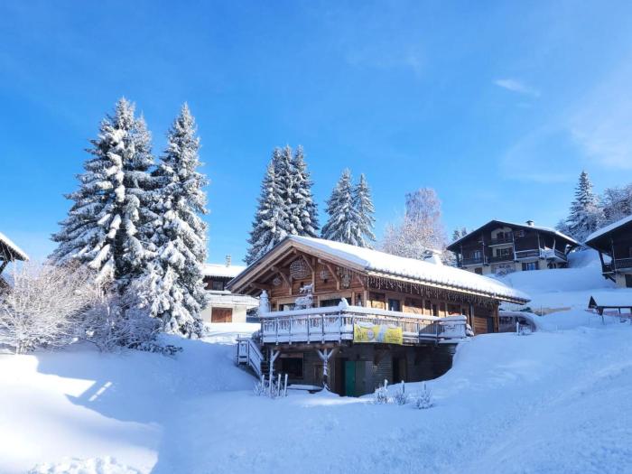 Chalet Le Valentin - Appartement de charme, proche piste et centre village MAE-3304
