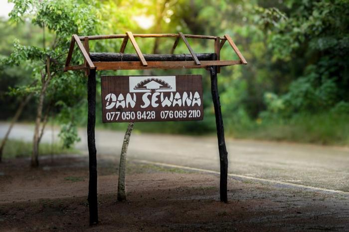 Dan Sewana