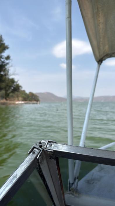 Estudio vuelo del aguila