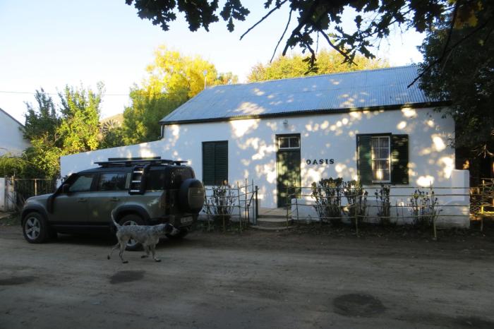 Oasis