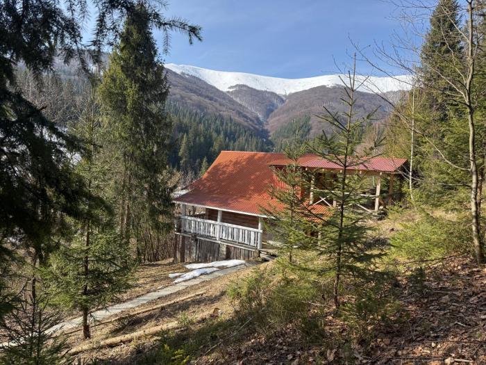 Domik v gorakh