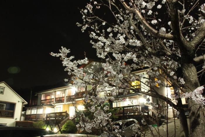 Gyeongju Byul Iyagi Pension