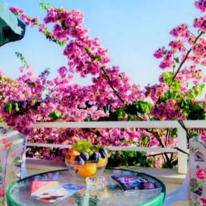 Sunset Flat Dubrovnik