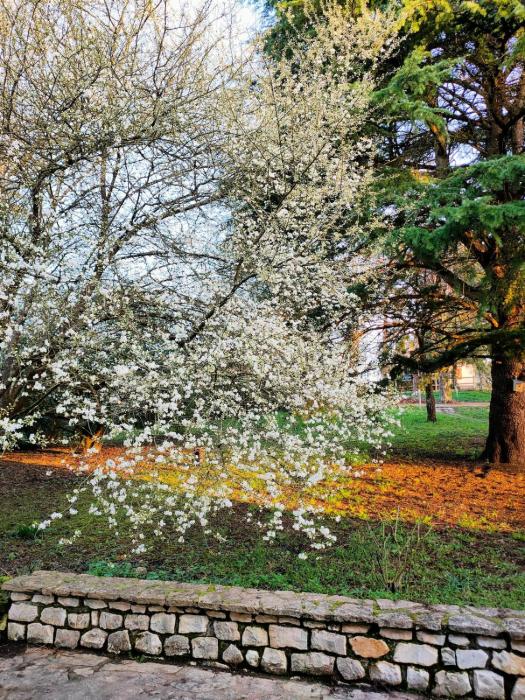 Morphoses, Maison dhôtes créative