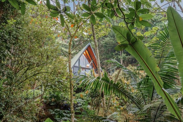 Glamping en El Retiro