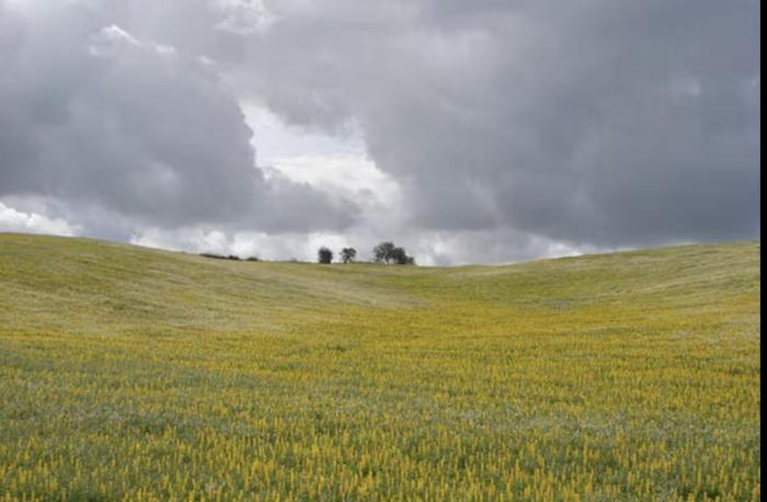 Monte das Doceitas