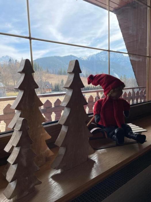 Golden Zakopane - Villa Cyrhla 302