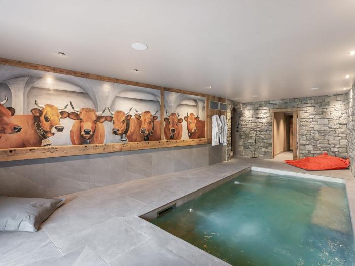 Chalet rénové avec piscine, sauna et hammam pour 14 personnes à Saint-Martin-de-Belleville - FR-1-570-54