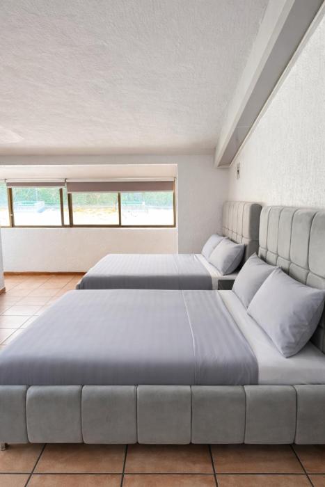 Bowra Suite Nina, Zona Consulado ORQ 8