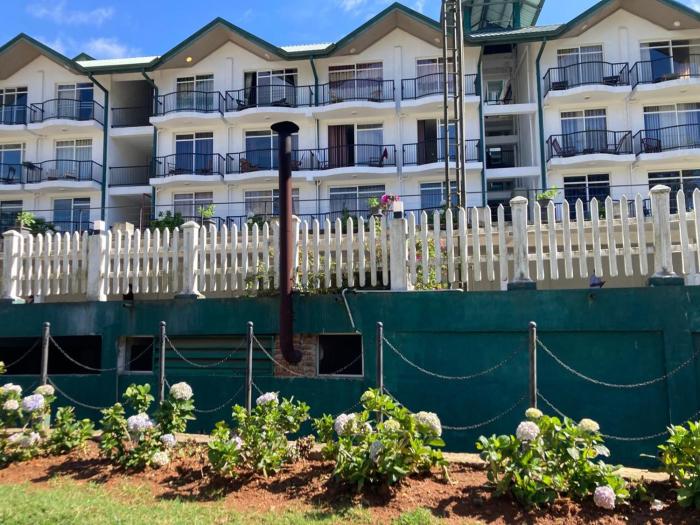 Growing Beyond apartment