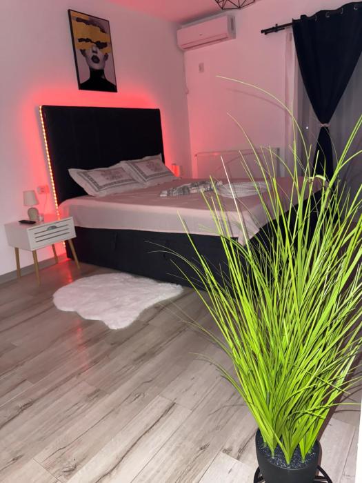 Studio de lux Craiova Zona Ford