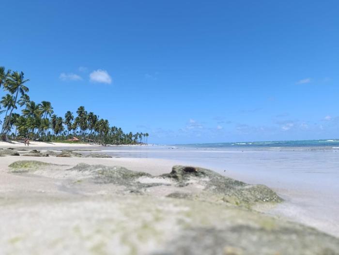 Carneiros Beach Resort - Pé na areia!