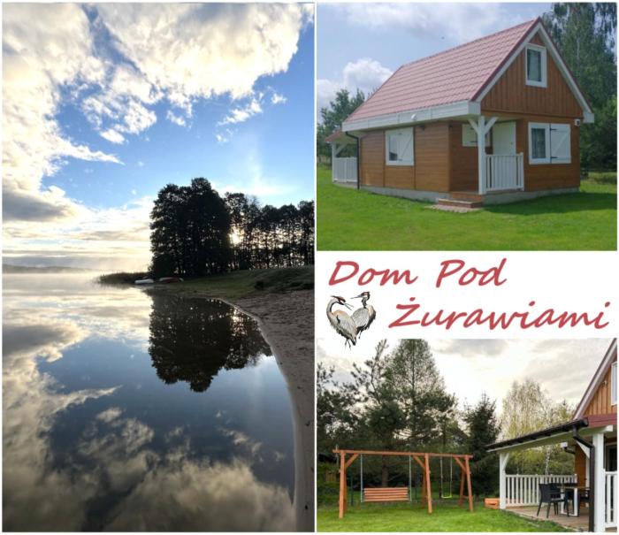 Dom Pod Żurawiami