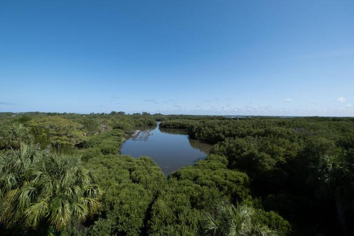 Natures Landing C302 Pool and Amazing Water View!