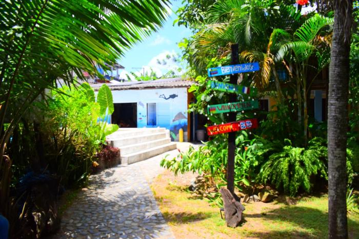 Dive and Green Capurgana