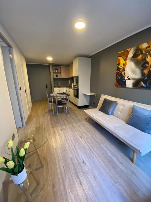 Departamento moderno cerca Metro Santa Ana , Piscina, cowork, hasta 3 personas